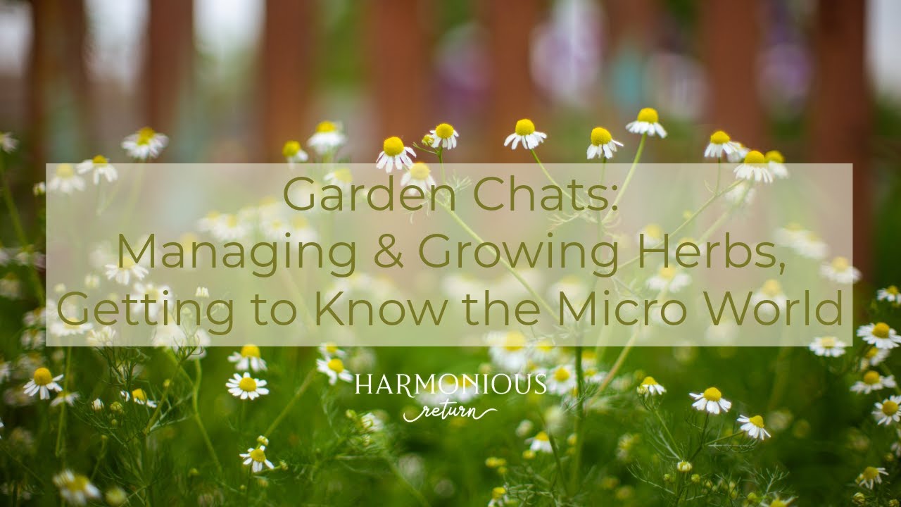 Garden Chats: Managing & Growing Herbs, Getting to Know the Micro World