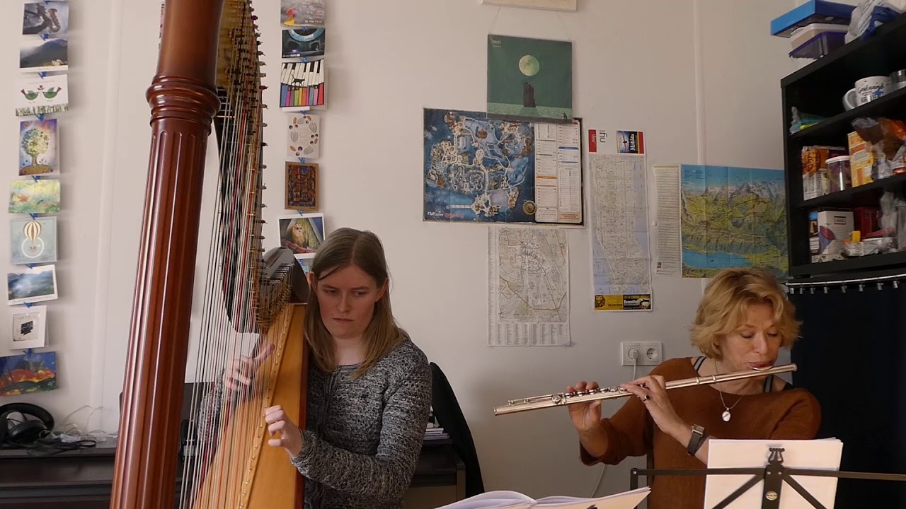 Celtic Suite - Harp & Flute - Roberto Di Marino