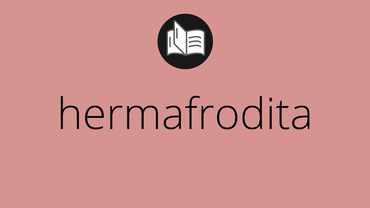 Que significa HERMAFRODITA &bull; hermafrodita SIGNIFICADO &bull; hermafrodita DEFINICI&Oacute;N