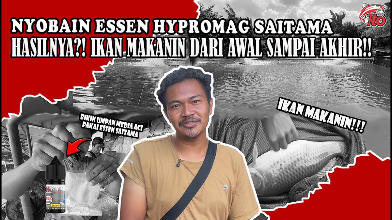 MANCING GALAPUNG PAKAI ESSEN HYPROMAG SAITAMA!! HASILNYA IKAN MAKANIN DARI AWAL SAMPAI AKHIR!!