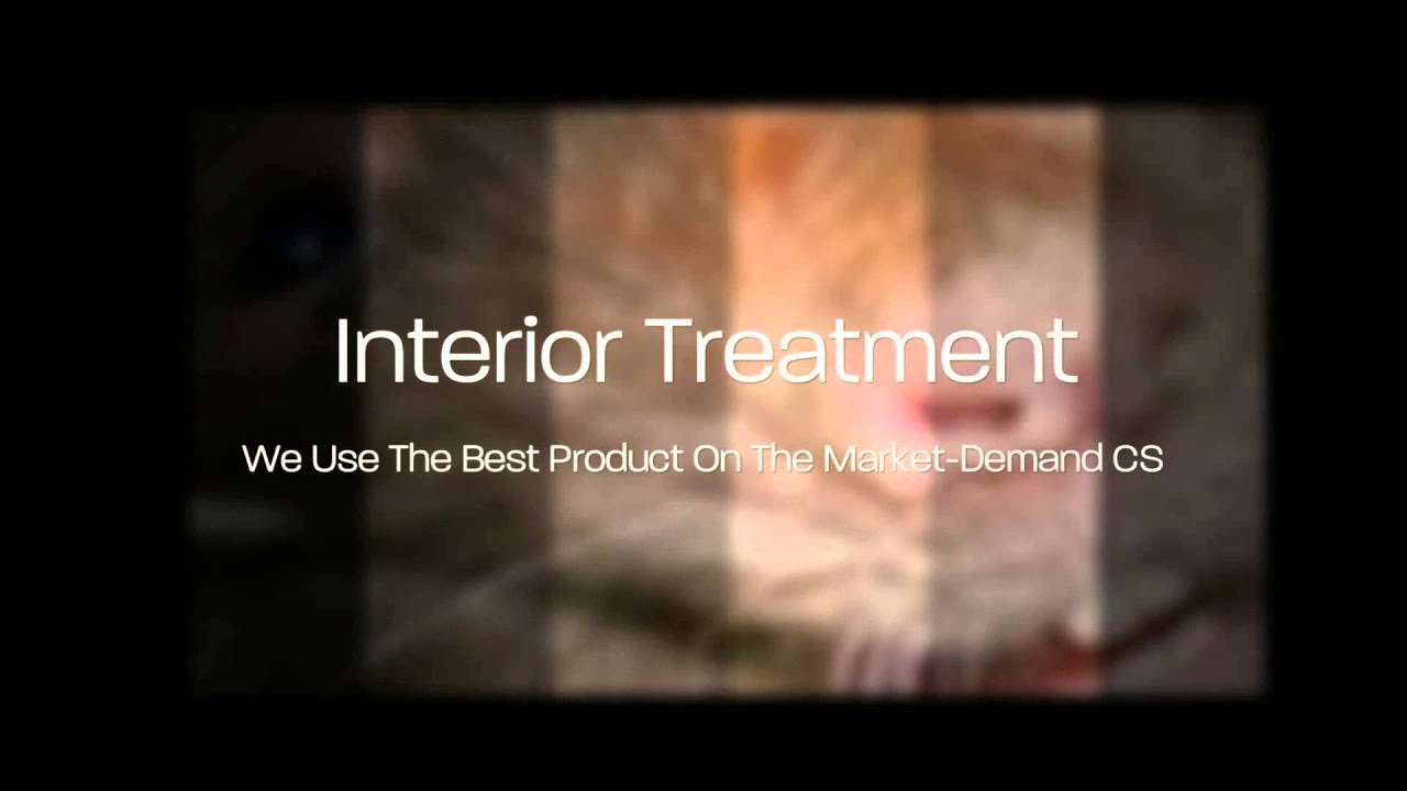 Pest Control Company Selma TX  | Call (210) 807-9422