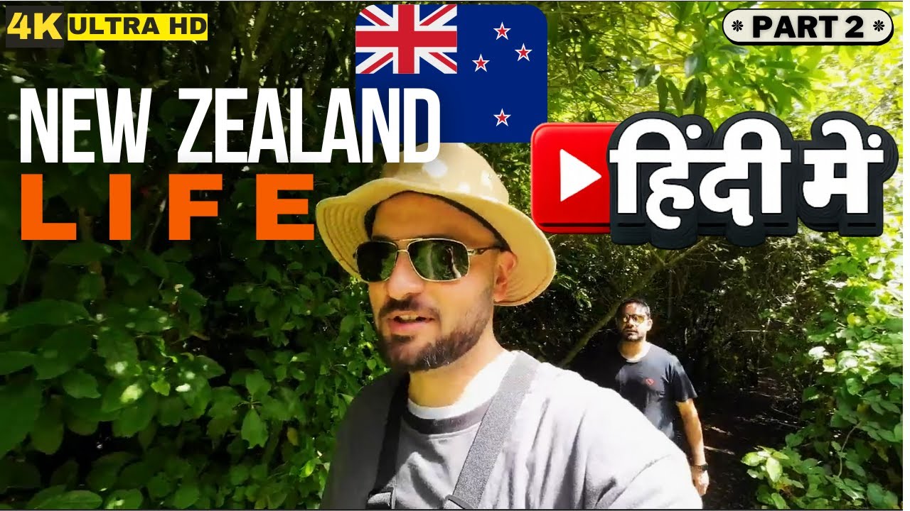 🌄 Life Close to Nature in New Zealand | Bushwalk & Quality of Living 🇳🇿