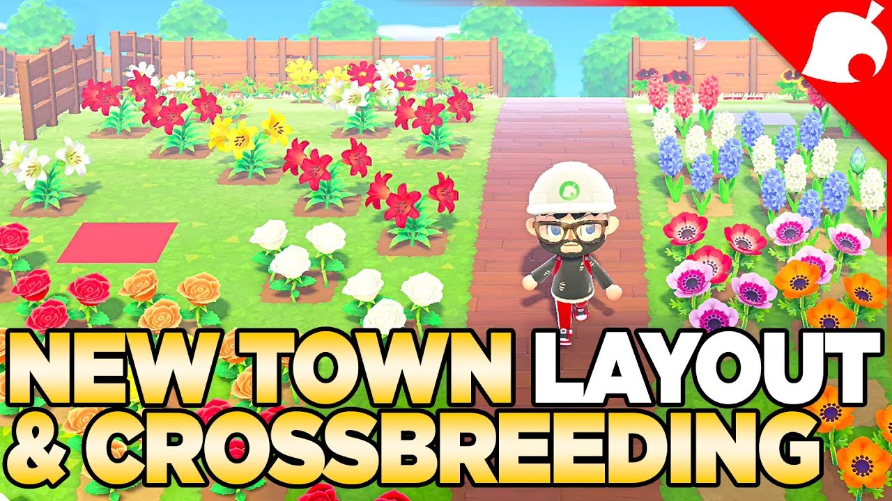 1.1.4. Новая планировка города и скрещивание КАЖДОГО цветка в Animal Crossing New Horizons