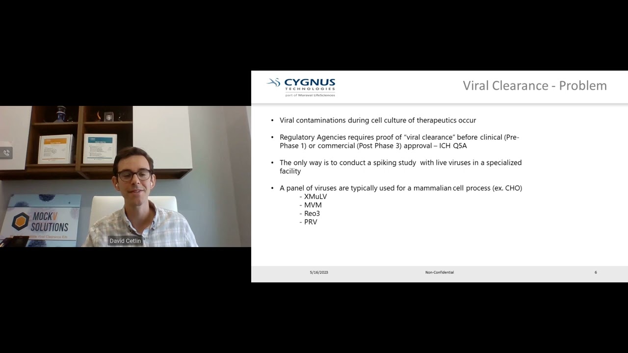 Predicting Viral Clearance Through the Use of Non-Infectious MVM and RVLP Surrogates