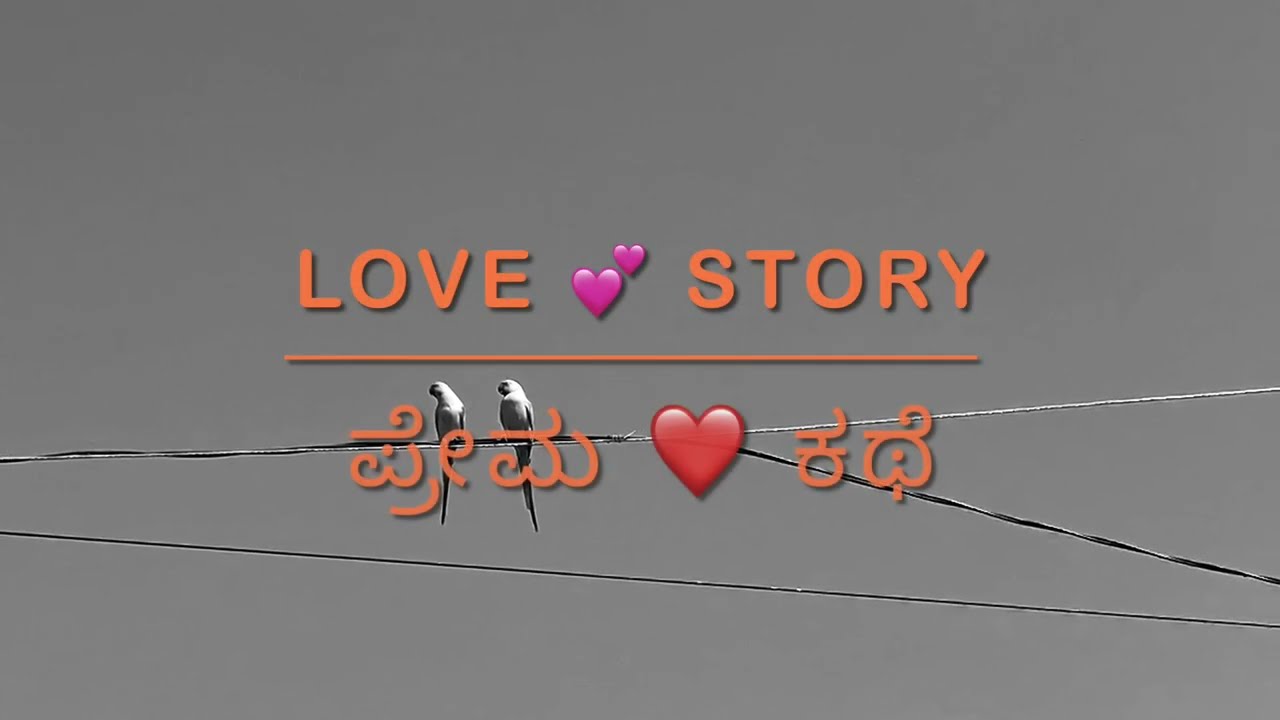 Love story  💝 | Parrot Couple 😍 Love Making💖💗| Parrots video compilation 2022 | parrots 🦜 Bonding