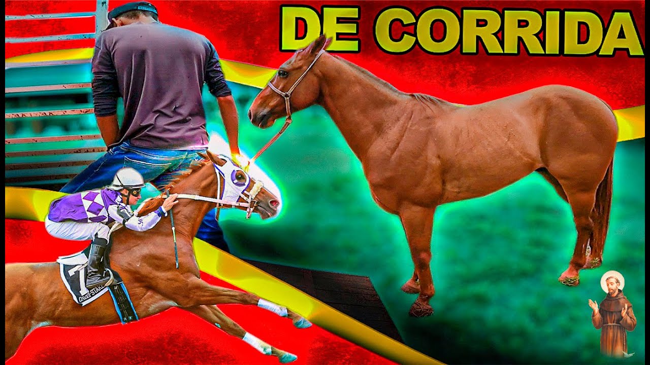 Cavalo de Corrida - Levando para fazenda -