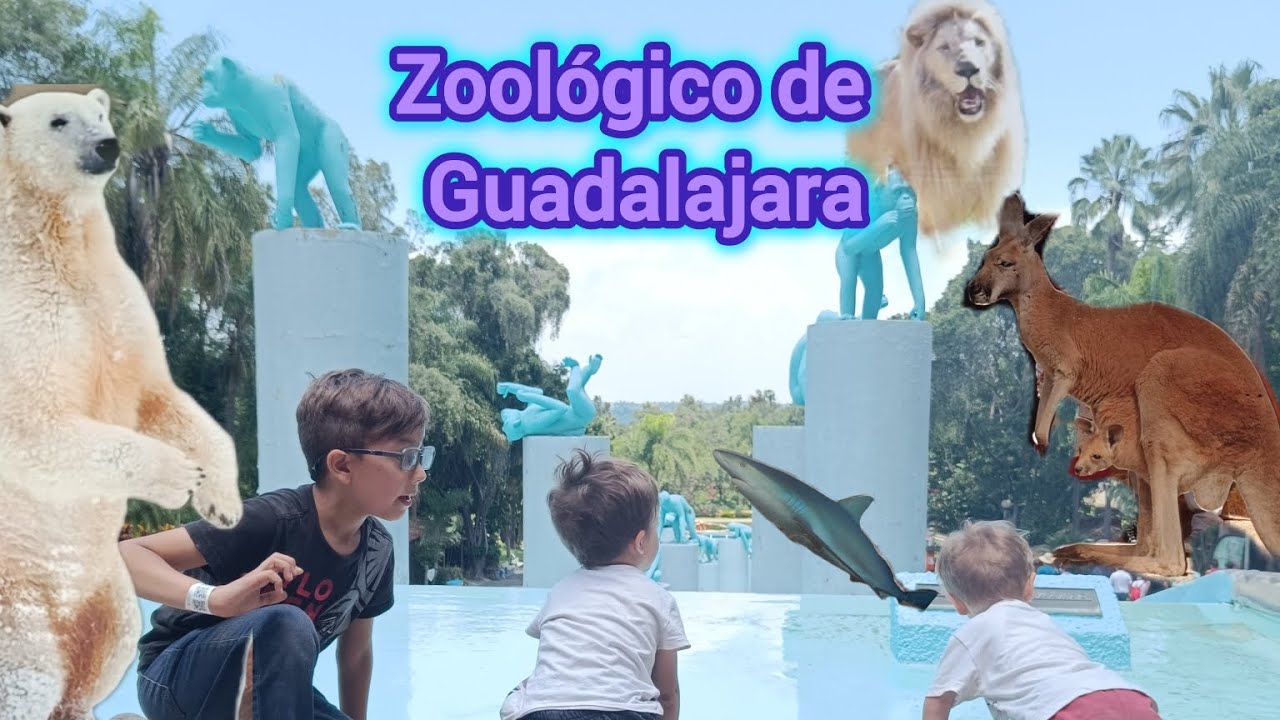 Vamos al Zoológico de Guadalajara con Gaius, es muy grande