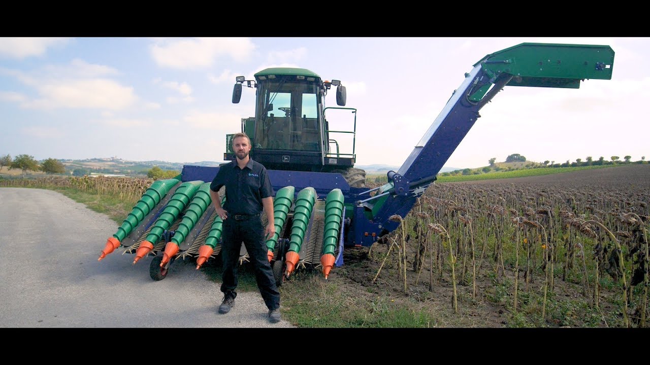 Onions seeds harvesting machine - by FLDI