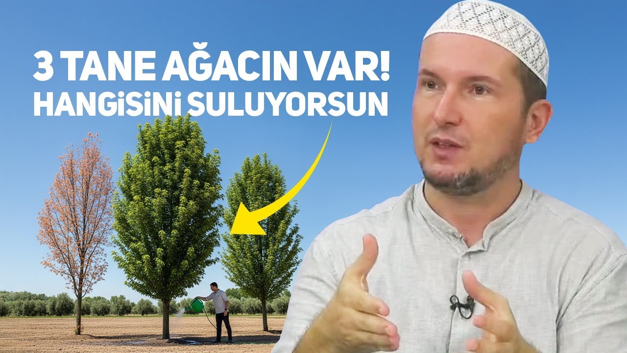 3 tane ağacın var! Hangisini suluyorsun? / Kerem Önder