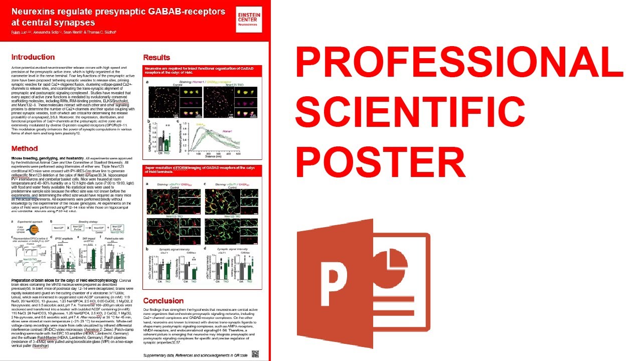 Как создать исследовательский постер в PowerPoint (как научный иллюстратор)