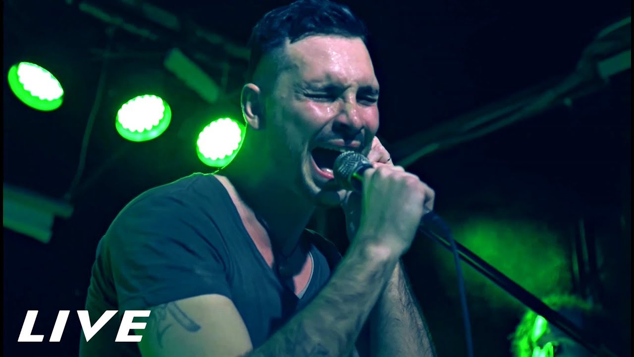 Paul Pedana - The Hummingbird - Live