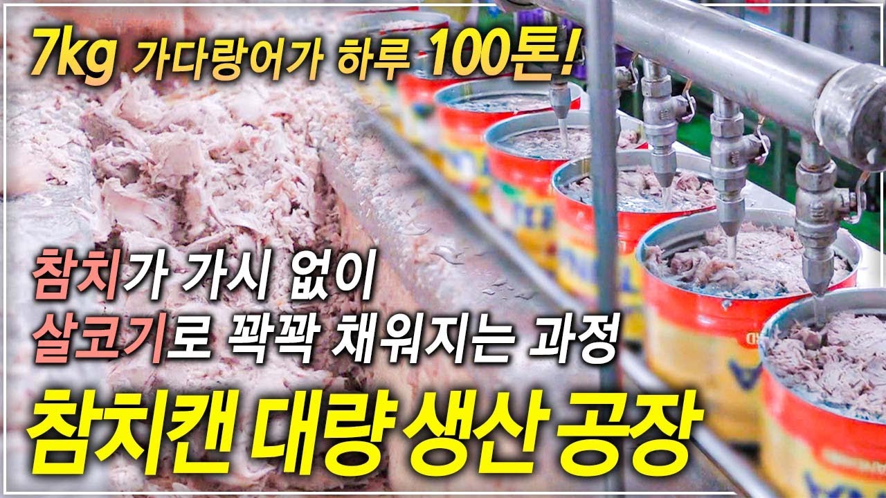 (참치캔은 3개월 뒤에 드세요!) 엄청난 규모 하루 100톤! 가시만 277개 있는 가다랑어가 살코기만 참치캔에 빈틈없이 꽉꽉 채워지는 과정ㅣ참치캔 대량 생산 공장│#골라듄다큐