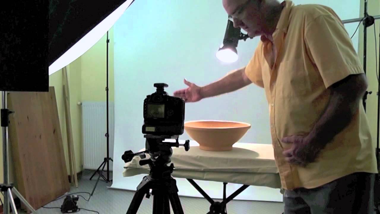 Photographies d'animaux. Les chatons en studio