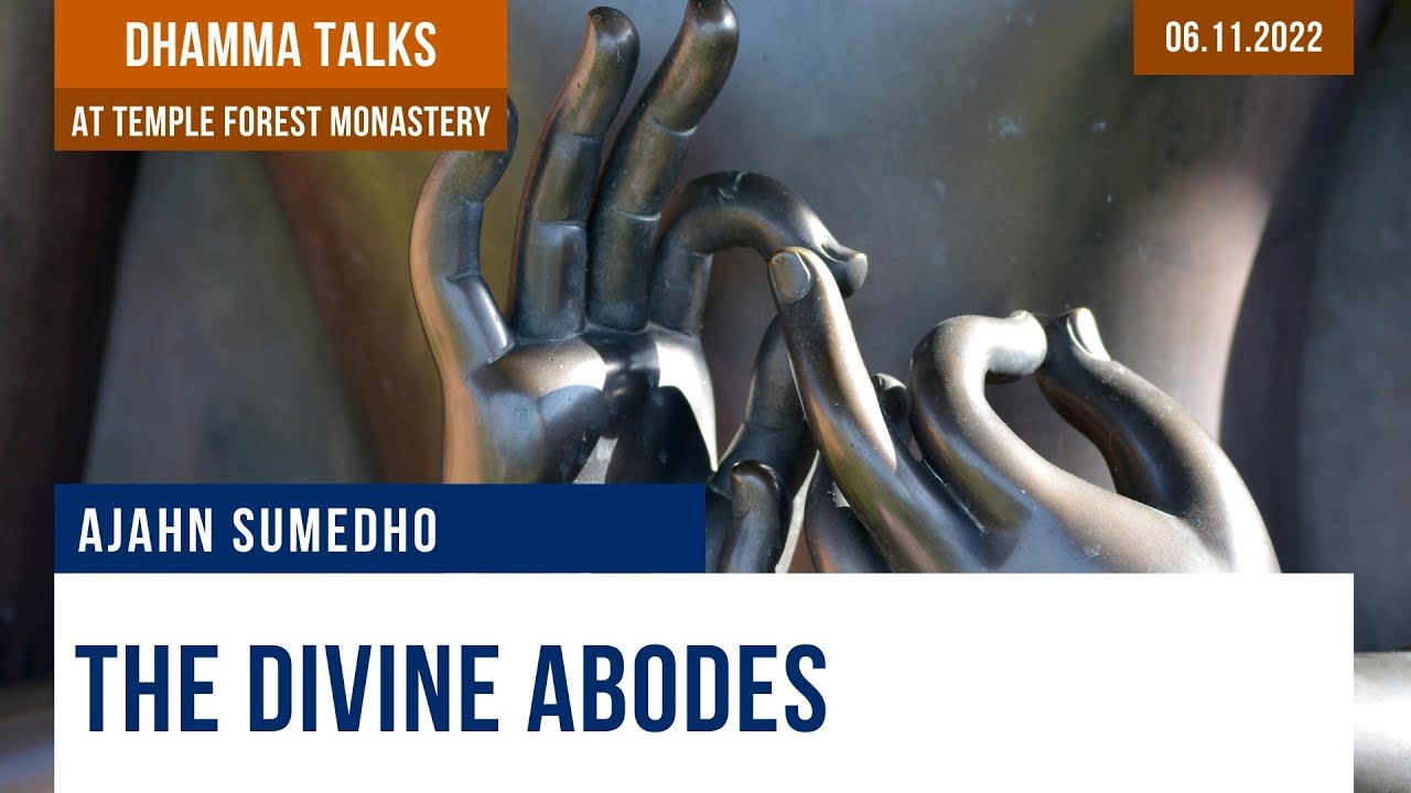 The Divine Abodes | Ajahn Sumedho | 06.11.2022