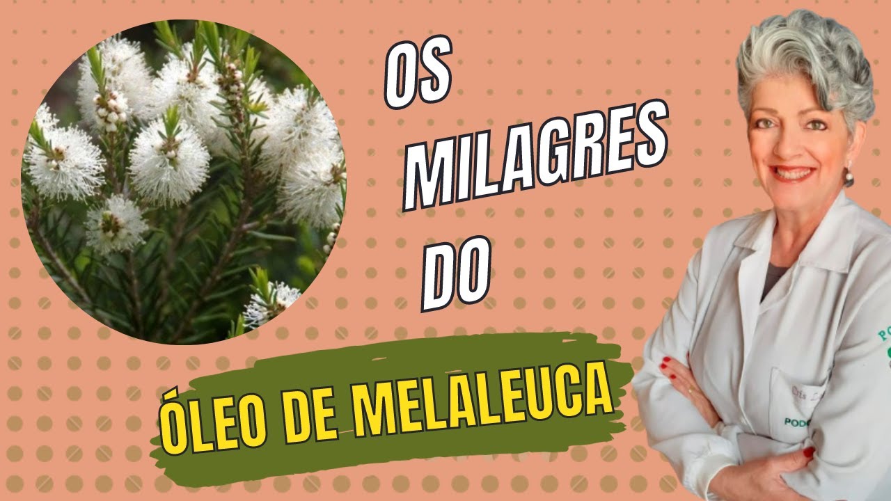 Óleo de Melaleuca Saiba seus Benefícios e Como Usar