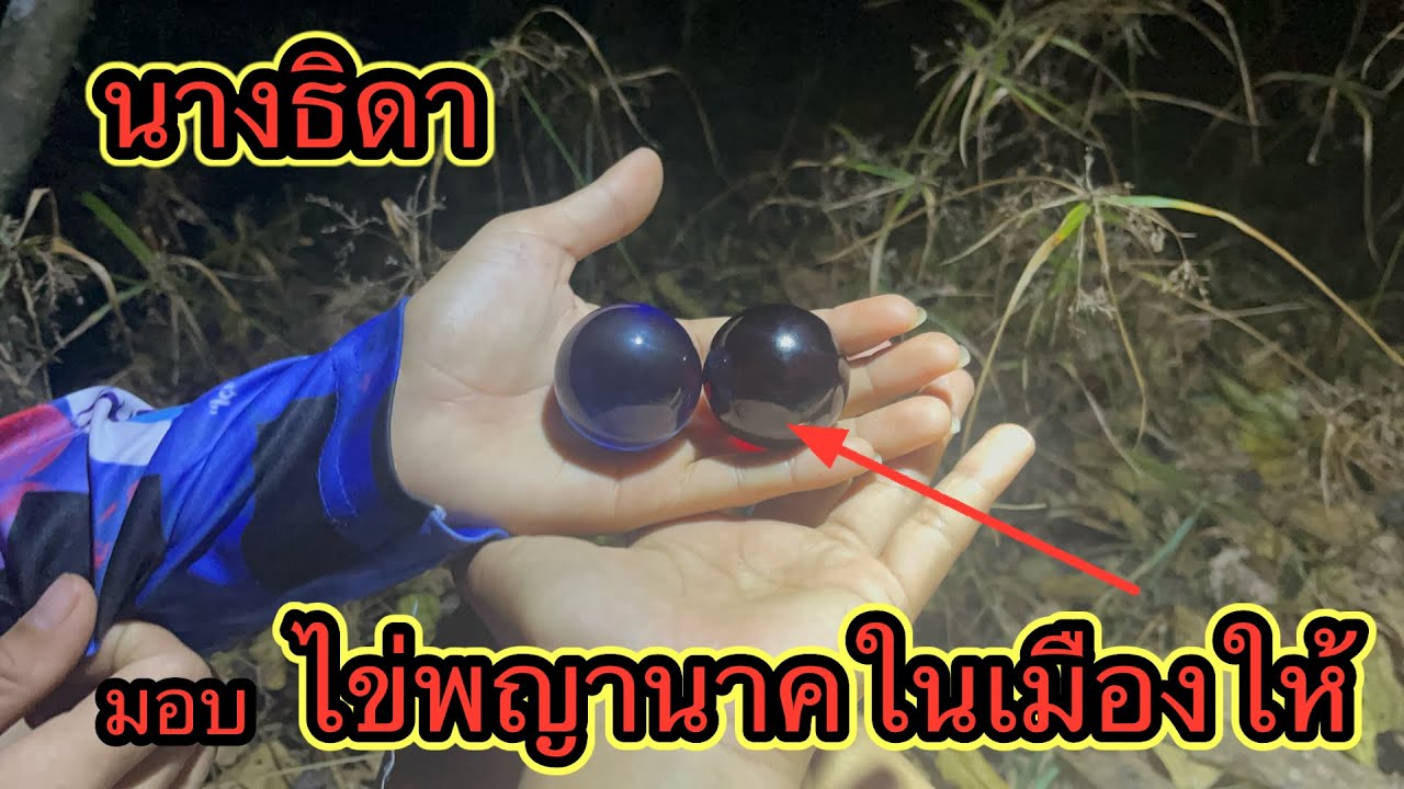 เข้าป่าลึกเพื่อที่จะไปนอนในป่าแต่เจอธิดาและนางธิดาให้ไข่พญานาคจากในเมืองให้มา