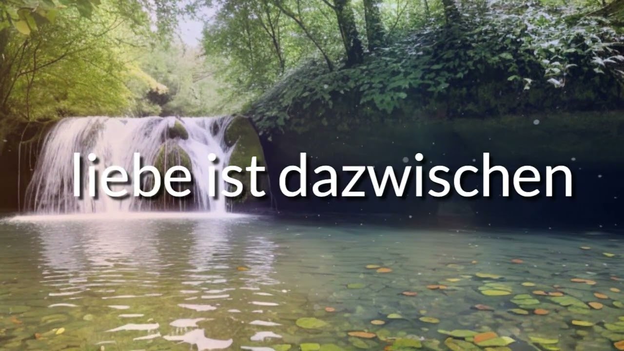 Transkontakt       Liebe dazwischen