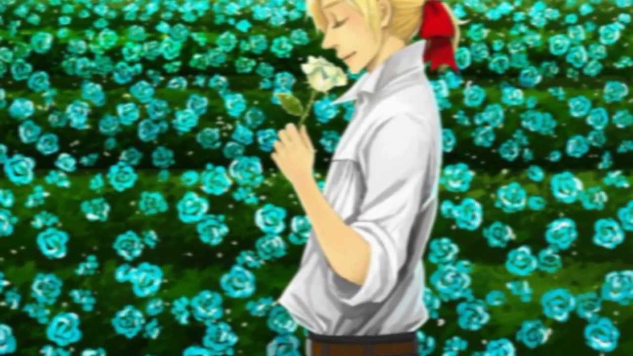 [APH] France Tribute - 