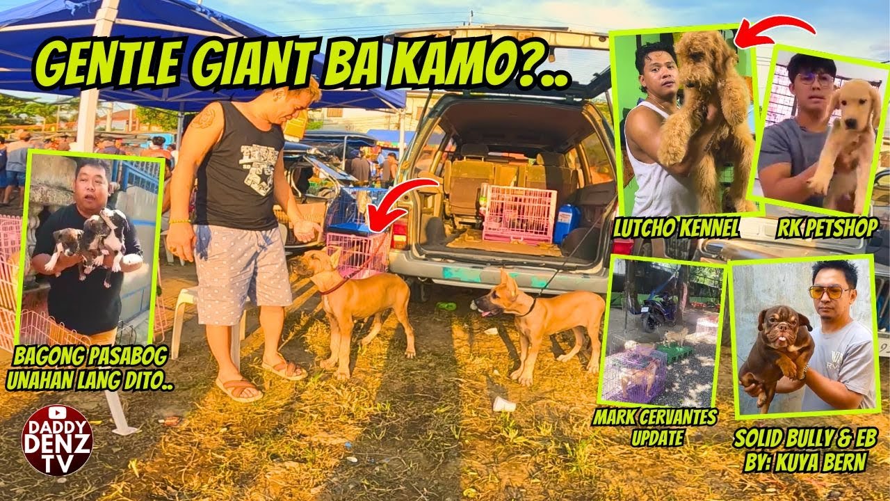 LUPIT NG LATAGAN NGAYON AFTER NG BAGYO.. / AUG. 1 @BOCAUE PET MARKET