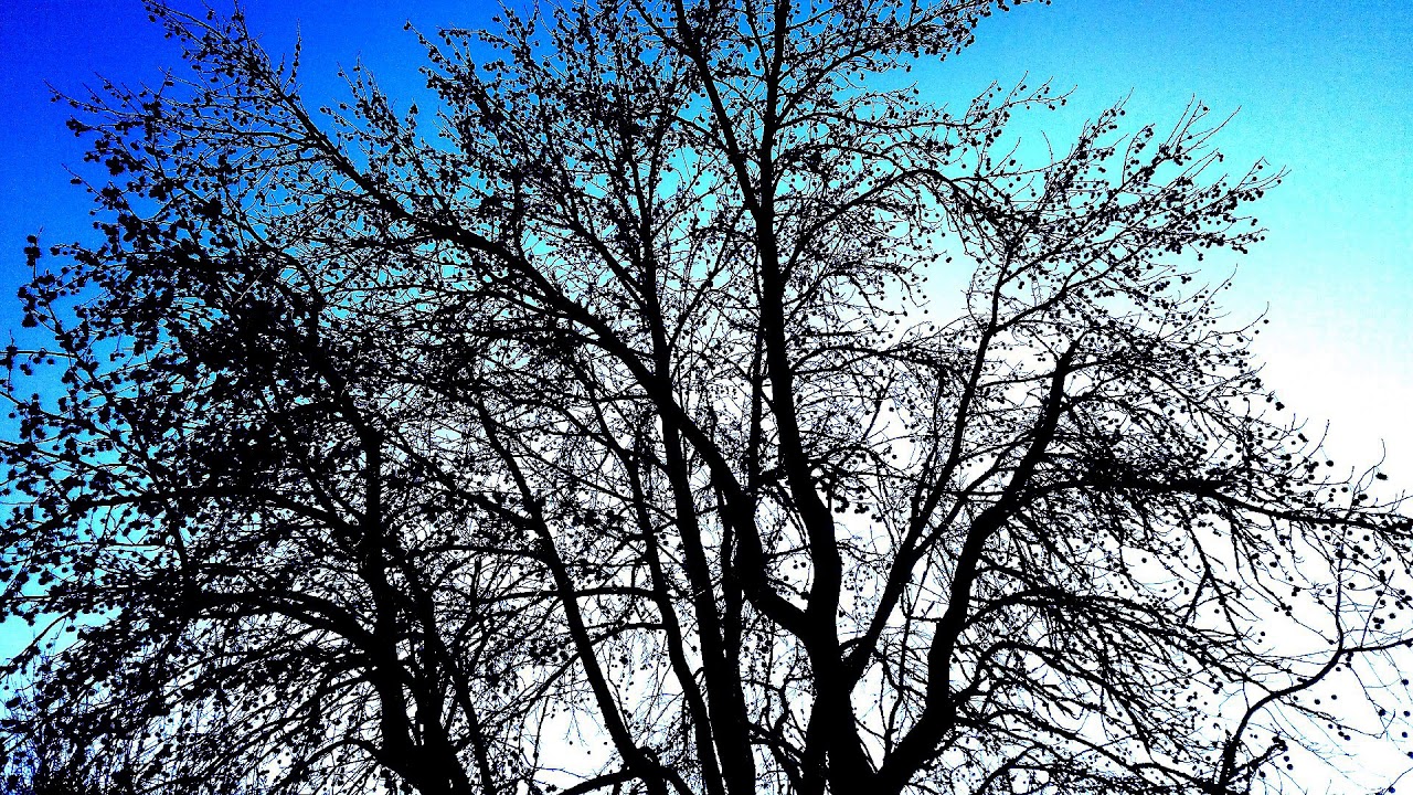Nature Spirits / Ambient, Dark Ambient, Soundscape