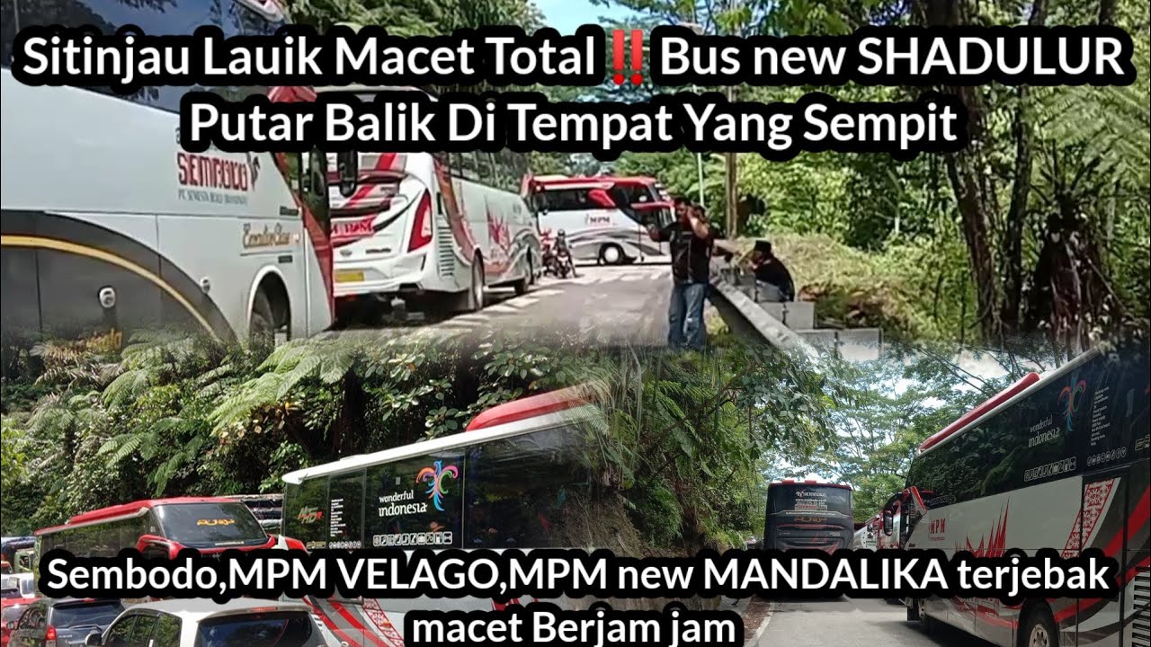 Sitinjau lauik macet total‼️Bus MPM new SHADULUR putar balik di tempat yang sempit