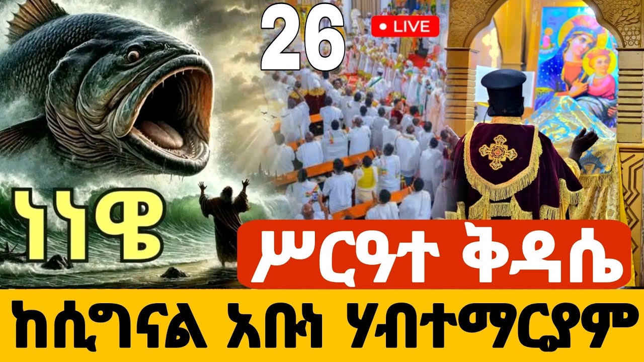 ✅live❗️ #ሥርዓተ_ቅዳሴ #ጥር_26  #ጾመ_ነነዌ_ሁለተኛ_ቀን  #ቀጥታ_ከሲግናል_አቡነ_ሃብተማርያም #Ethiopian_Orthodox @hosaenatube1