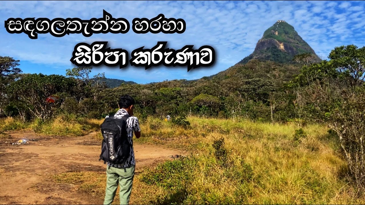 බස් එකෙන් සිරීපාදෙ ගියා | Sandagalathenna Road | Sri Padaya #sripadaya 