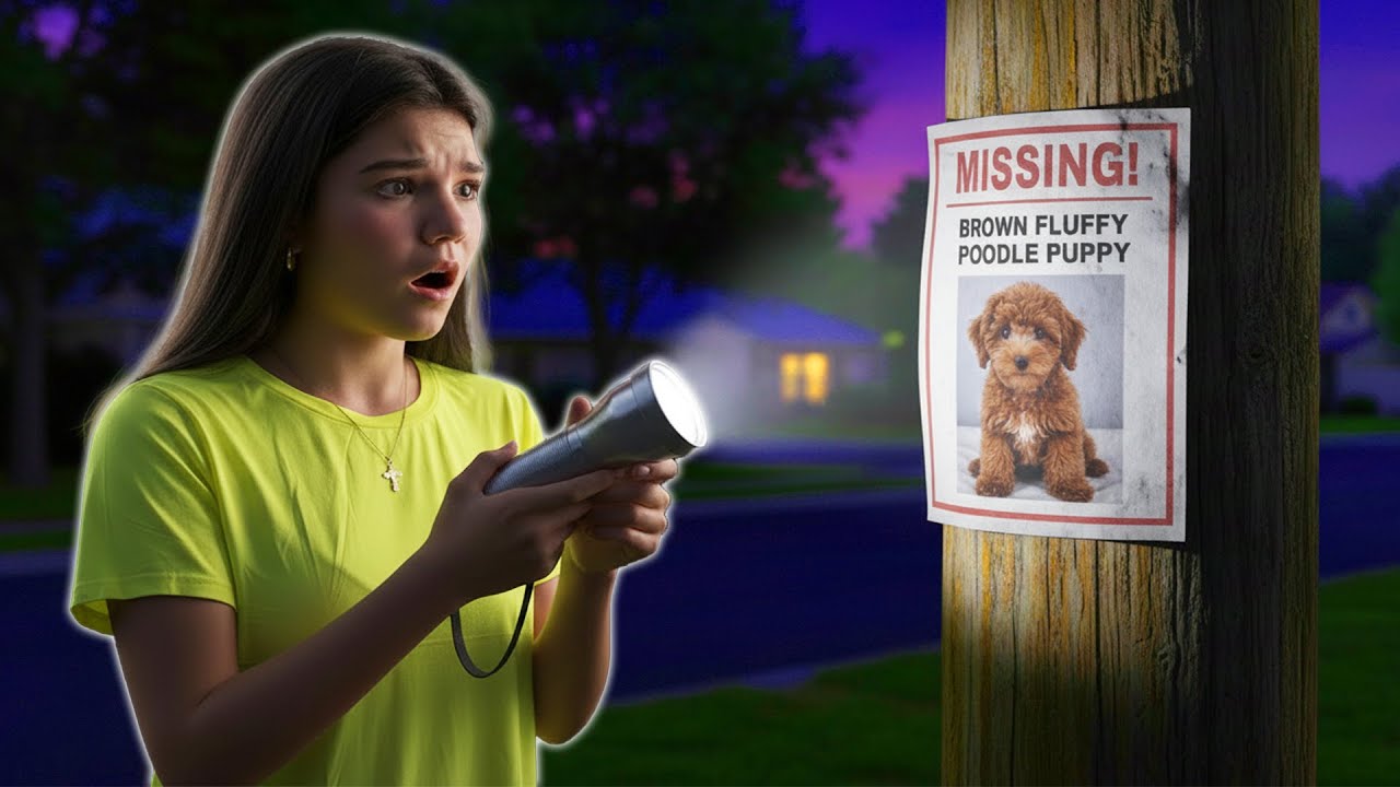 Our Puppy Is MISSING!!