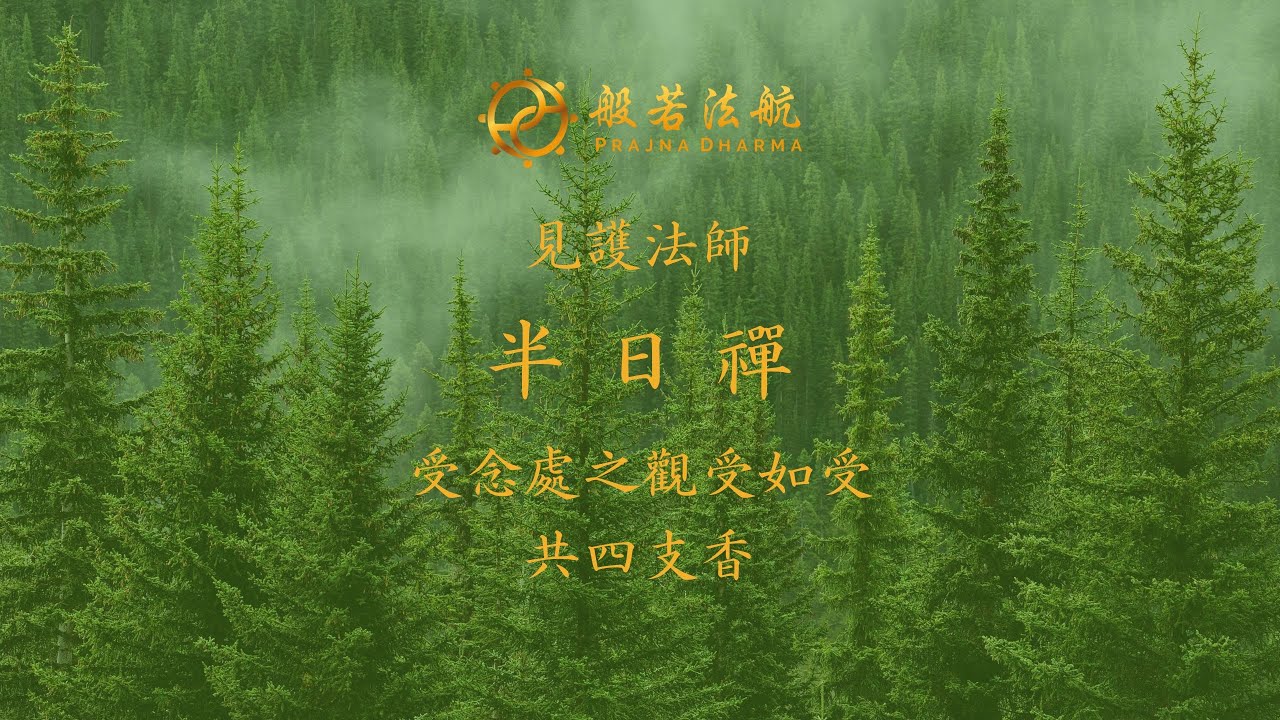 見護法師 - 半日禪 - 四念處2 受念處1 觀受如受（共四支香）