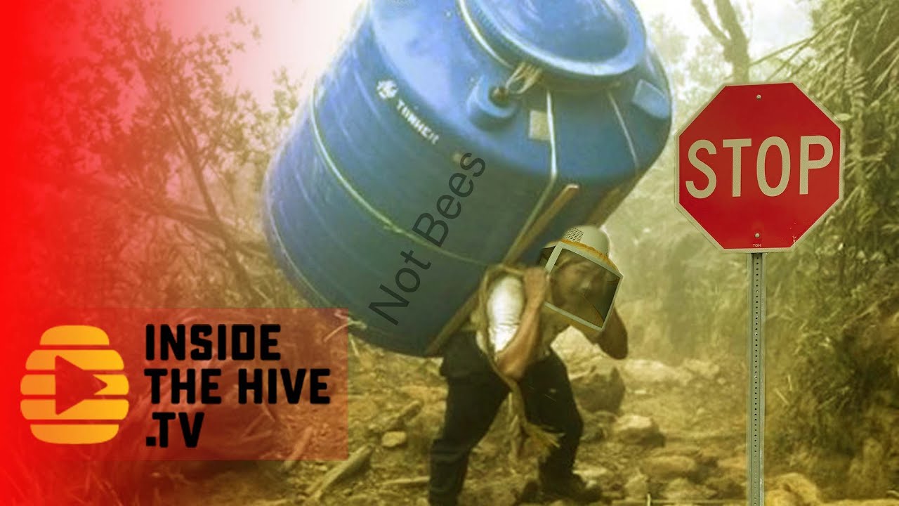Saving the BEEKEEPING Industry from a problem BIGGER than Varroa mite