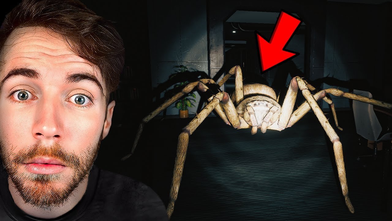 CETTE ARAIGNÉE GÉANTE VA TE TRAQUER JUSQU'À TA MORT (Huntsman)