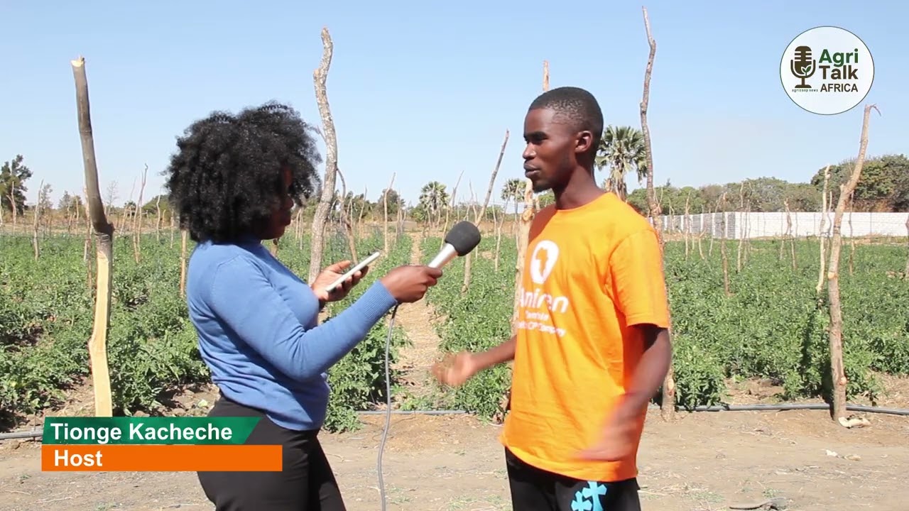 Agritalk Africa Podcast | Episode 29 – Erick Ng’andu, Huba Farm 🎙️🌱