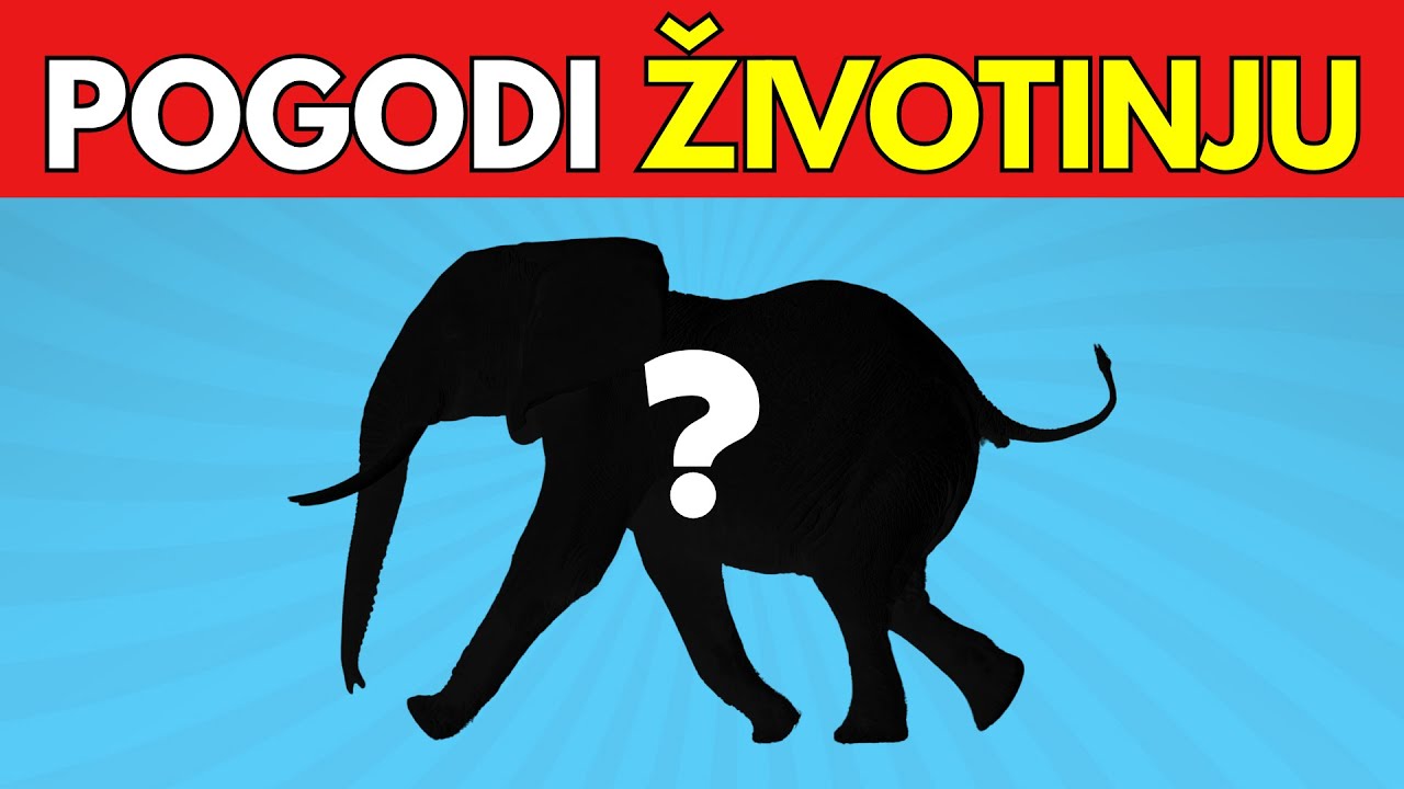 Pogodi Životinju Sa Senke🐼🐒