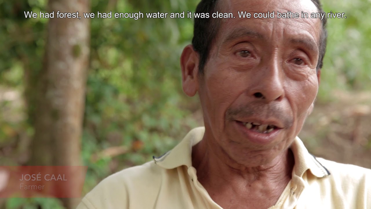 Palm Plantations are Polluting Water in Guatemala (English)