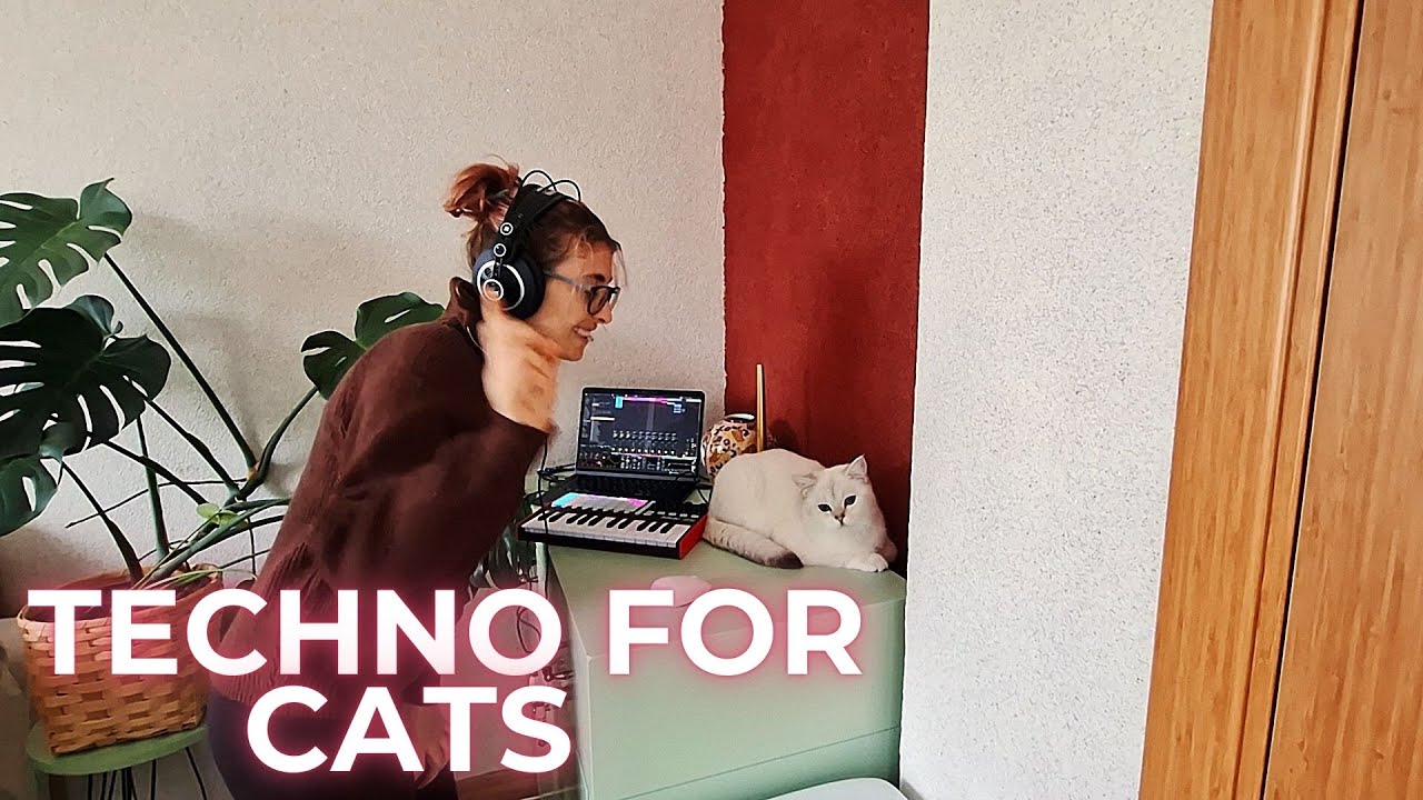 Quick Hypnotic/Progressive Techno in Ableton Live with Akai APC (Live Performance)