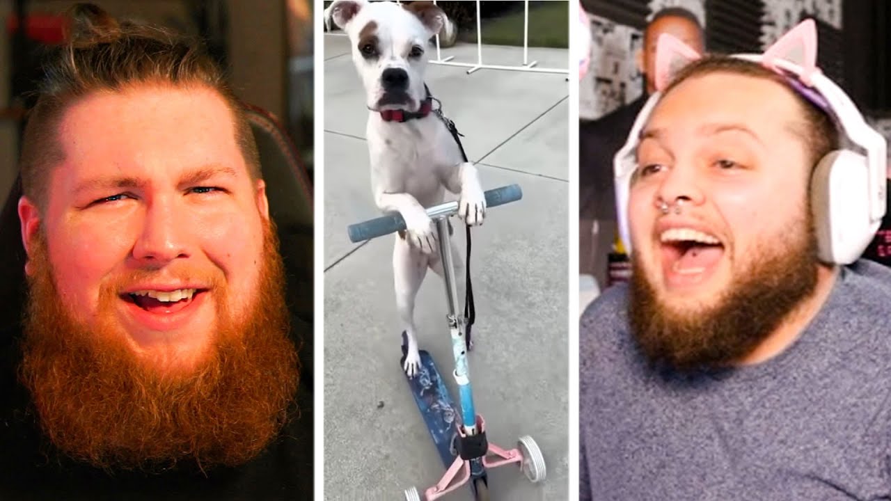 Ashdog and StanleyMOV REACT TO CURSED MEMES!