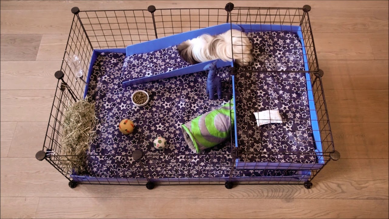 The Best Guinea Pig Cage: Kavee's No DIY C&C Guinea Pig Cage