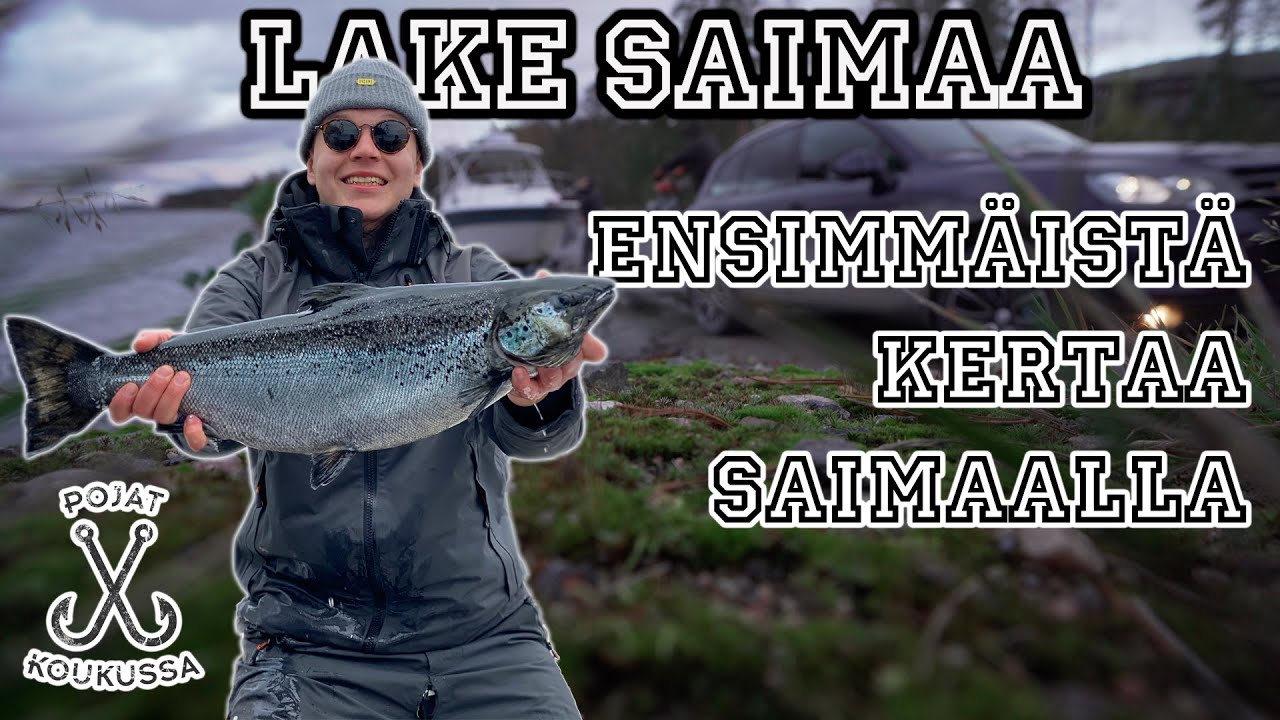 POJAT KOUKUSSA - SAIMAA