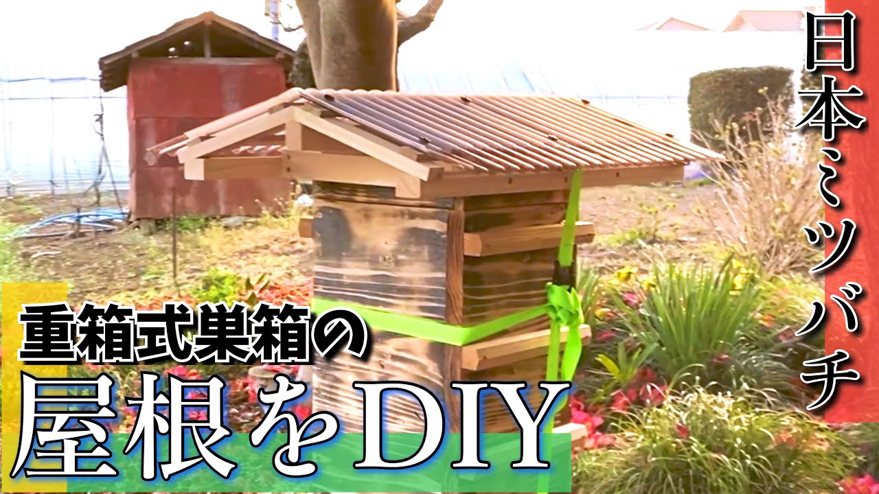 【ある日の日本ミツバチ】重箱式巣箱の屋根をDIY