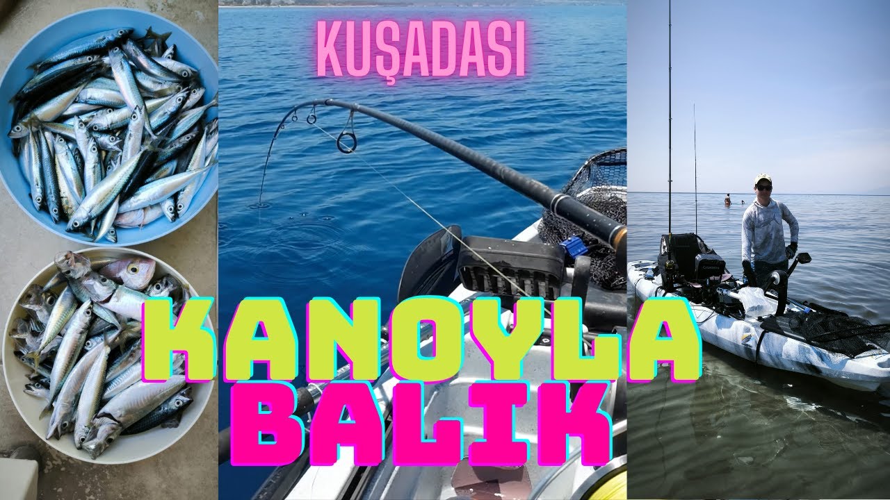 KANOYLA BALIK AVI KOLYOZ - İSTAVRİT KUŞADASI - GARMİN 5 #daiwa #garmin #savagegear