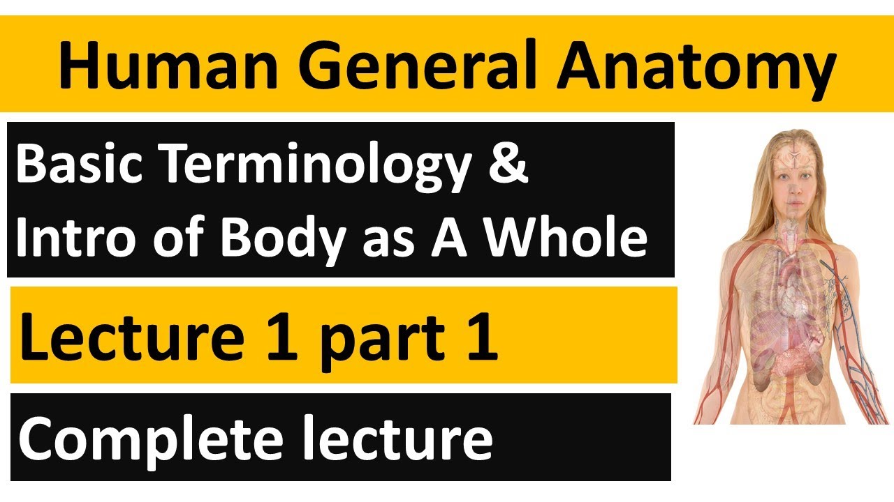 Human General Anatomy |Anatomy Basic Terminology | In Urdu/Hindi | lecture 01 part 01 | BSN Lectures