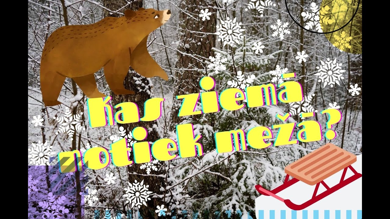 Dabas Pētnieki  - Kas ziemā notiek mežā? Video bērniem.