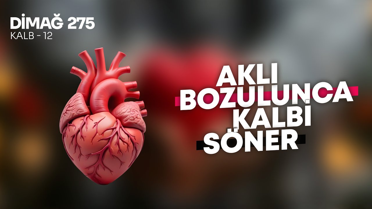 AKLI BOZULUNCA KALBİ SÖNER | DİMAĞ 275 KALB 12