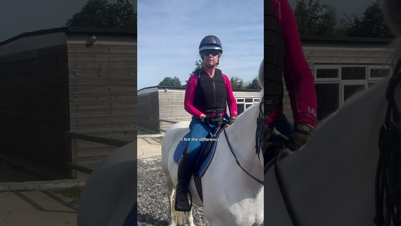 Come on a Riding Lesson with us ✨ #horseriding  #equestrian #horselover #horseridinglessons