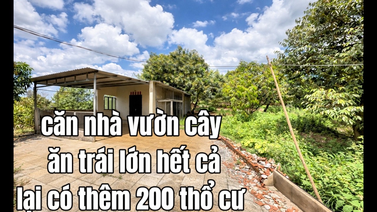 thương con ch&aacute;u v&agrave; cần xoay xở c&ocirc;ng việc gia đ&igrave;nh, b&aacute;n mảnh đất vườn 4.300m&sup2; đ&atilde; gắn b&oacute; nhiều năm.