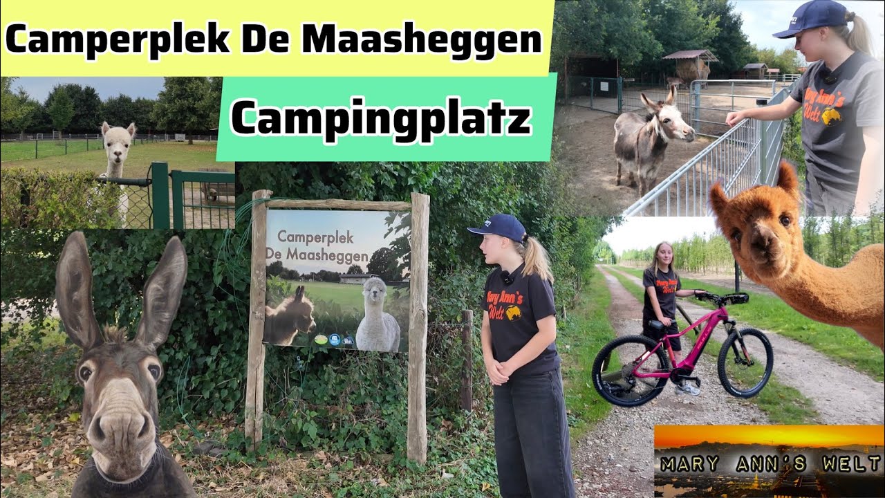 Campingplatz Vorstellung / Camperplaats de Maasheggen NL
