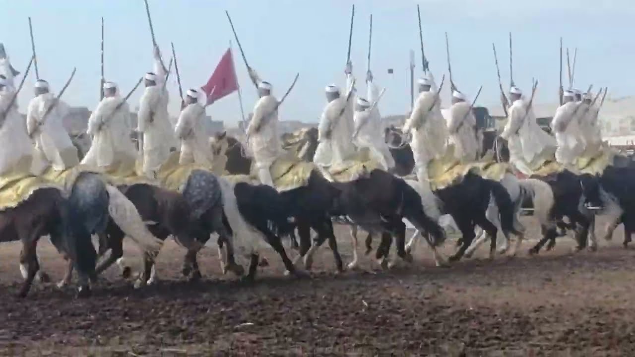 مسابقة للمتميزين والهوات الموهوبين في الفروسية او التبوريدة او الفنطازية  المغربية.. عروض اكثر روعة