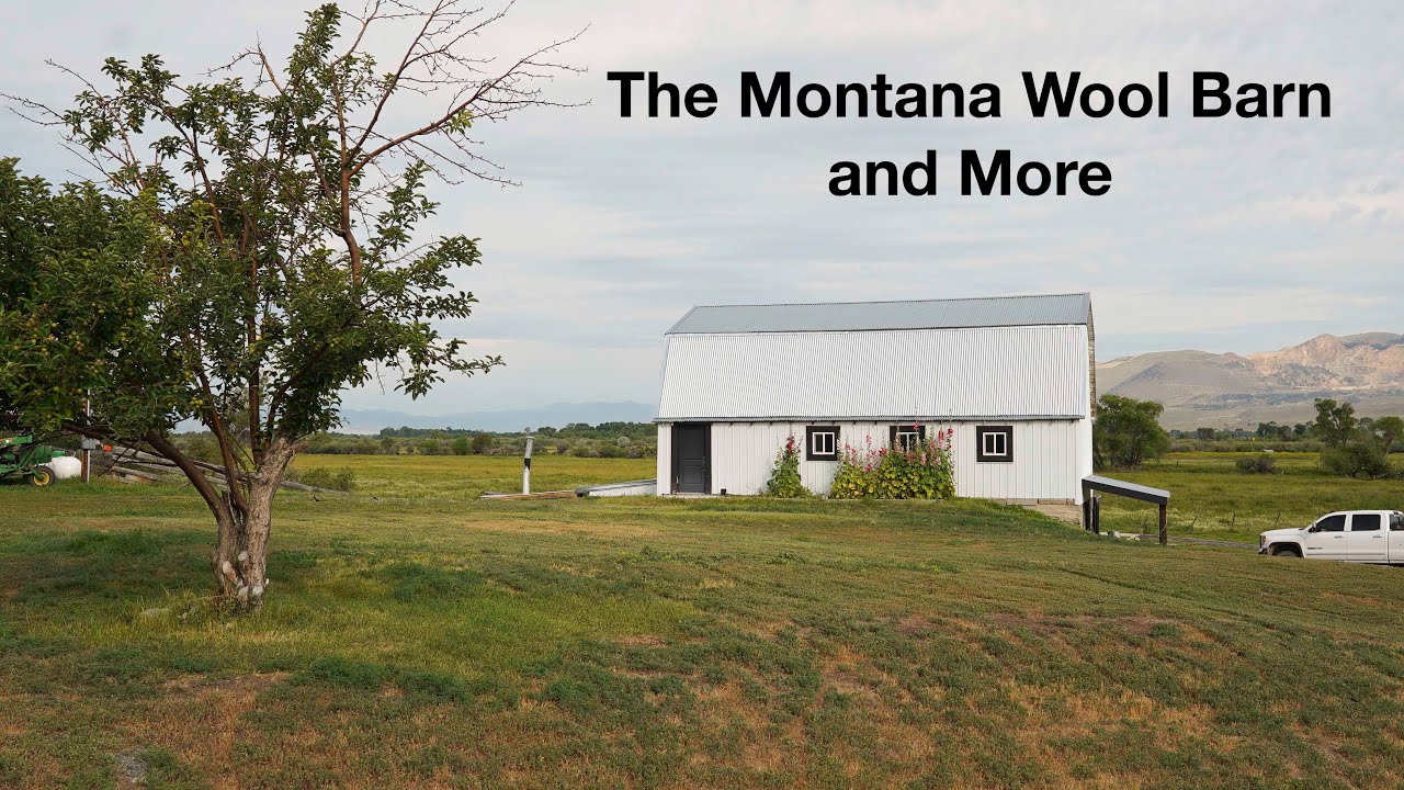The Montana Wool Barn and more.
