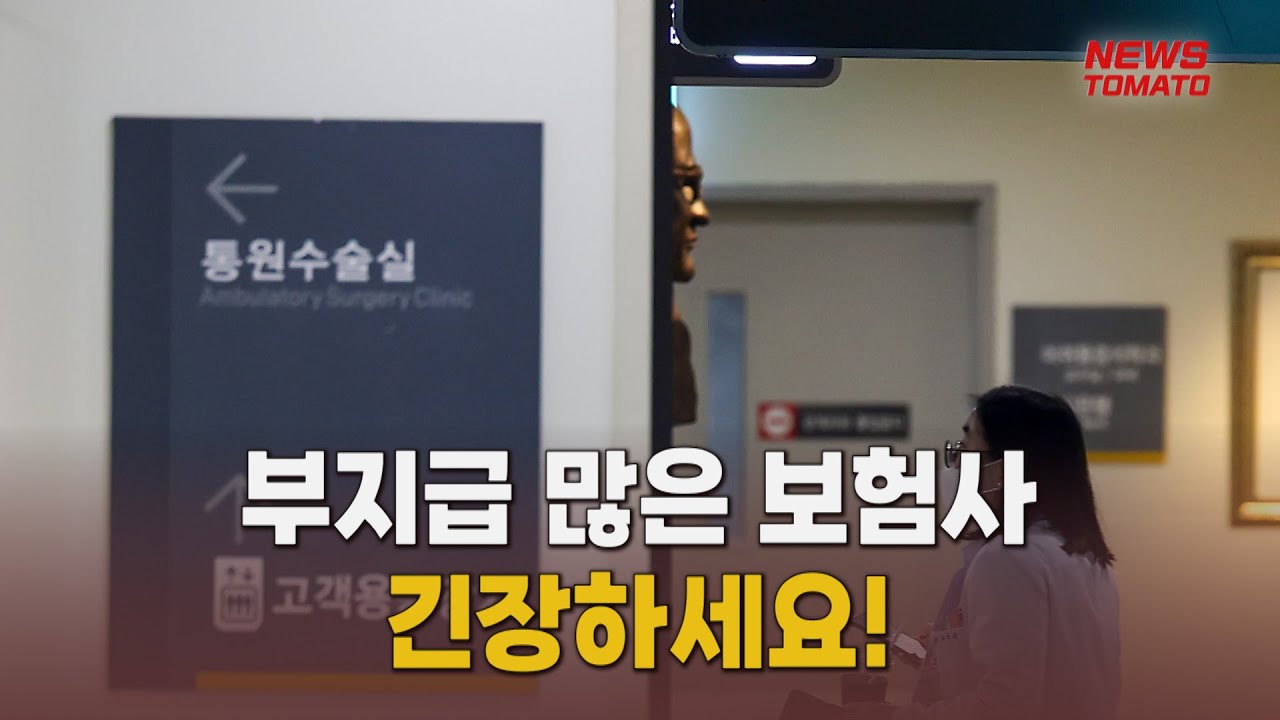 보험금 부지급률 왜 높나&hellip;수시검사로 들여다본다 [말하는 기자들_금융&증권_0409]