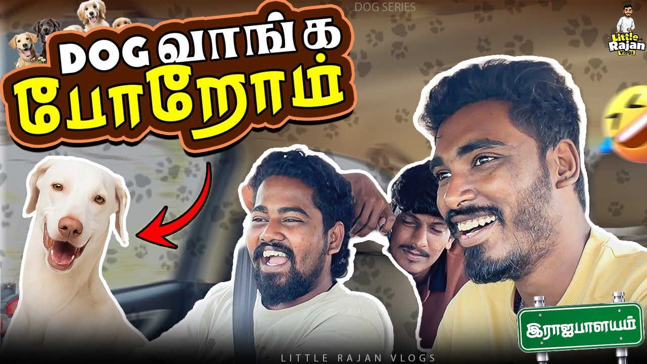 இனிமே தெரு நாயை பார்த்து ஓட தேவயில்ல🏃‍♂️❌🐶 | Dog Series | Ep-02 | Little Rajan Vlogs